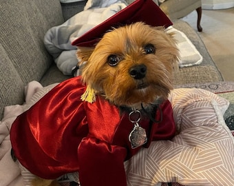 Graduation Dog Gown, Graduation Gift, Dog costume, Dog cap and gown, Graduation Dog Outfit, Halloween dog costume, Graduation gown for dogs