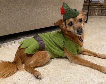 Peter pan, Peter pan dog costume, Peter pan dog outfit, Robin Hood dog costume, Robin Hood dog outfit, Halloween dog costume