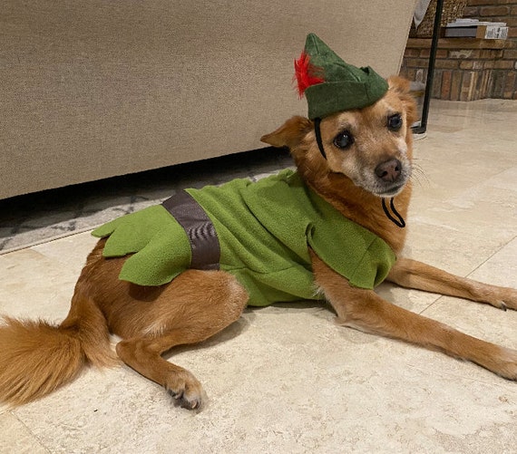 Peter Pan, costume da cane Peter Pan, vestito da cane Peter Pan, costume da  cane Robin Hood, vestito da cane Robin Hood, costume da cane di Halloween -   Italia