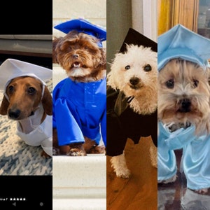 Graduation Dog Gown, Graduation Gift, Dog costume, Dog cap and gown, Graduation Dog Outfit, Halloween dog costume, Graduation gown for dogs image 1
