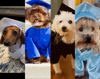 Robe pour chien de remise des diplômes, cadeau de remise des diplômes, costume de chien, casquette et robe de chien, tenue de chien de remise des diplômes, déguisement de chien d'Halloween, robe de remise de diplômes pour chien