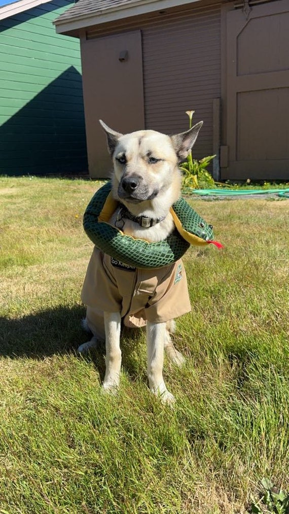 Zookeeper dog costume, Safari dog costume, Park Ranger dog outfit, Halloween dog outfit, Costume for dogs, Dog shirt