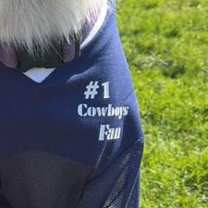 Pu&ograve; includere: Una maglia blu navy con tessuto a rete bianca. La maglia ha il numero "1" e le parole "Cowboys Fan" stampate in bianco sul davanti.