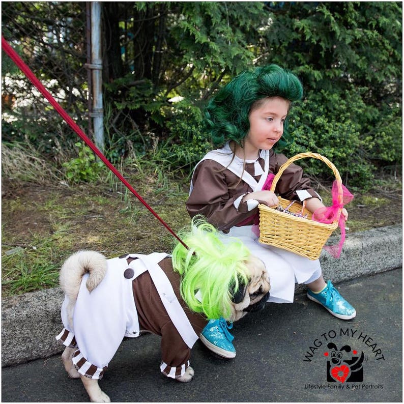 OompaLoompa dog costume Halloween dog costume Charlie & the Etsy