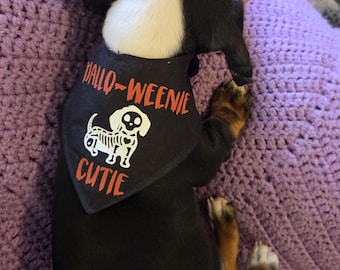 Dachshund Halloween dog bandana, Halloween dog bandana, Double sided dog bandana, Velcro dog bandana