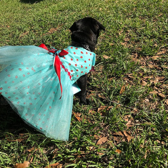 Spring top dog clothes