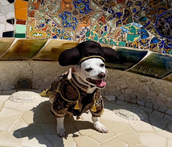 Matador dog costume, Bull fighting dog costume, Halloween dog costume, Halloween dog outfit, Costume for dogs