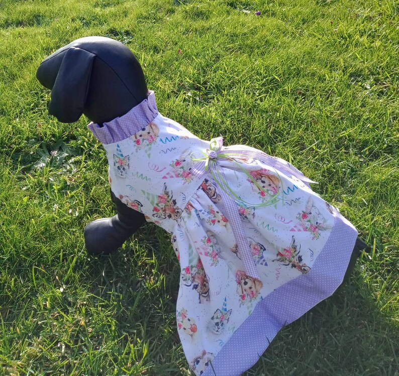 Birthday Dog Dress Happy Birthday Dog Outfit Celebration Dog Etsy