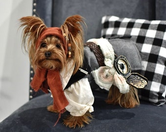 Captain Jack Sparrow dog outfit, Jack Sparrow dog costume, Pirate dog costume, Halloween dog costume, Johnny Depp dog costume,