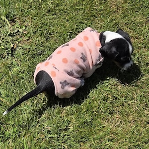 May include: A small black and white puppy wearing a pink fleece dog sweater with orange polka dots and grey star-like shapes. The puppy is lying on green grass in the sunlight.