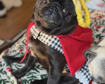 Disfraz de perro inspirado en el Grinch: Vestido, capa y peluca de Cindy Lou Who