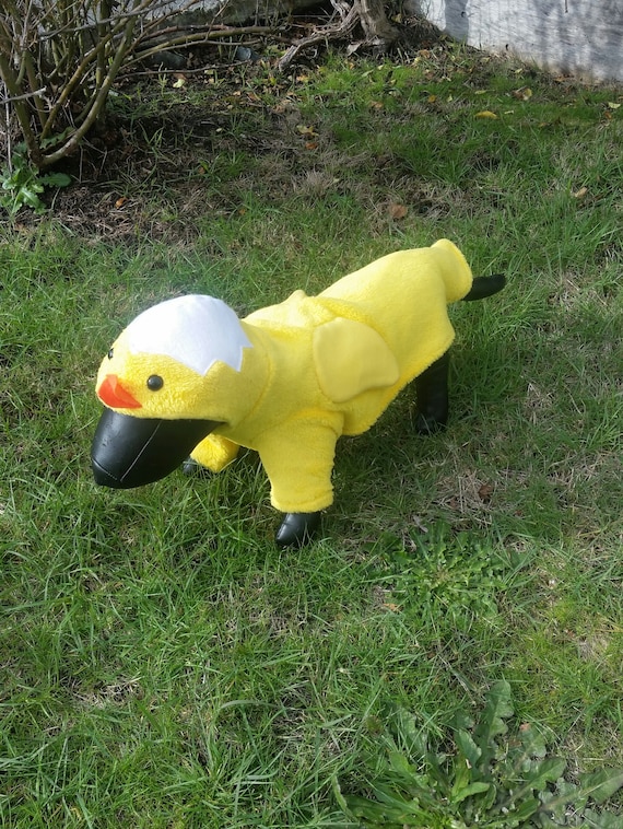 Easter Chicken Dog Costume, Easter dog outfit, Chicken dog costume,