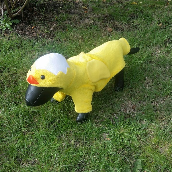 Easter Chicken Dog Costume, Easter dog outfit, Chicken dog costume,