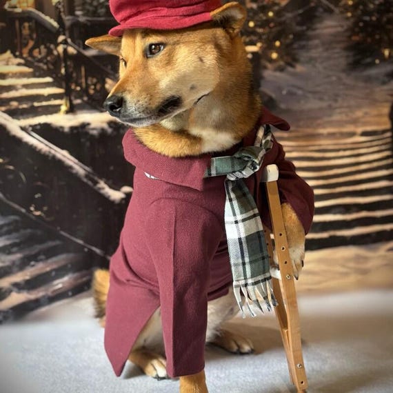 Tiny Tim Dog Costume: Fleece Jacket, Plaid Scarf & Burgundy Hat