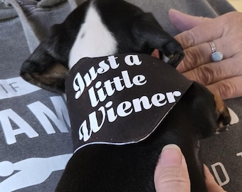 Dachshund dog bandana, Just a Little Wiener bandana, Dog bandana, Velcro bandana, Double sided bandana