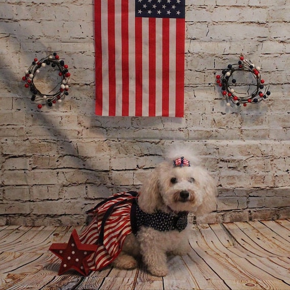 Patriotic Dog Dress Stars and Stripes Dog Outfit 4th of July Dog Outfit Dog Dress Etsy Australia