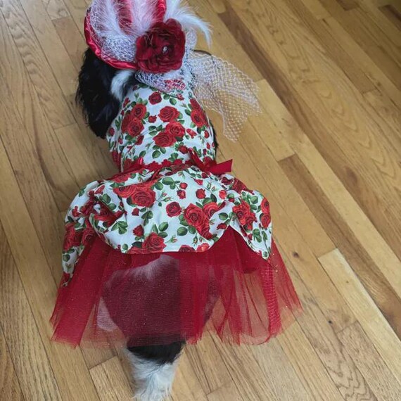 Kentucky Derby dog dress, Horse Racing dog dress, Fancy dog dress, Floral dog dress