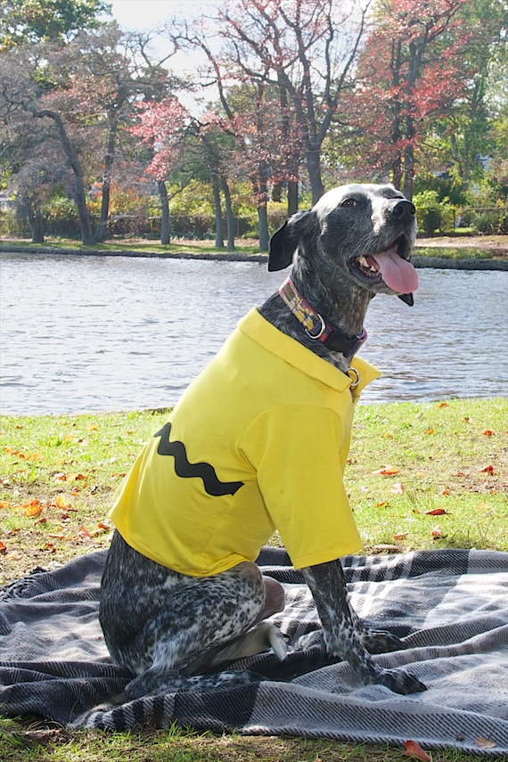 Charlie Brown Dog Costume Etsy