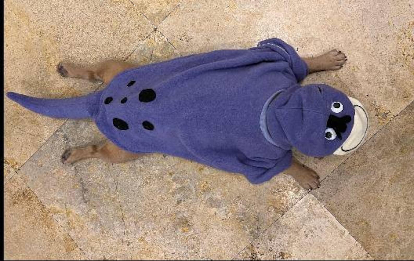 Dino the Flintstone Dog Costume Dino Dog Costume Dinosaur Etsy