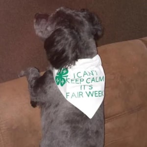 4-H dog bandana, Farmer dog bandana, Reversible dog bandana, Slide on dog bandana, Bandana for dogs