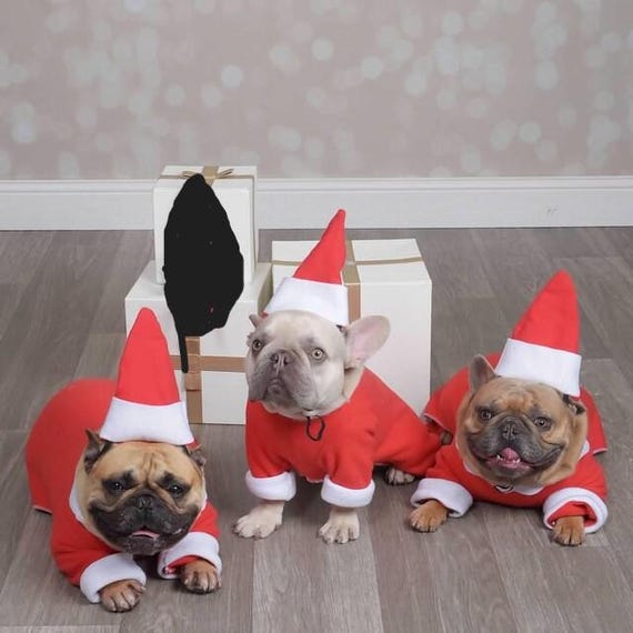 Fleece Christmas Elf Dog Costume, Santa's Helper Outfit