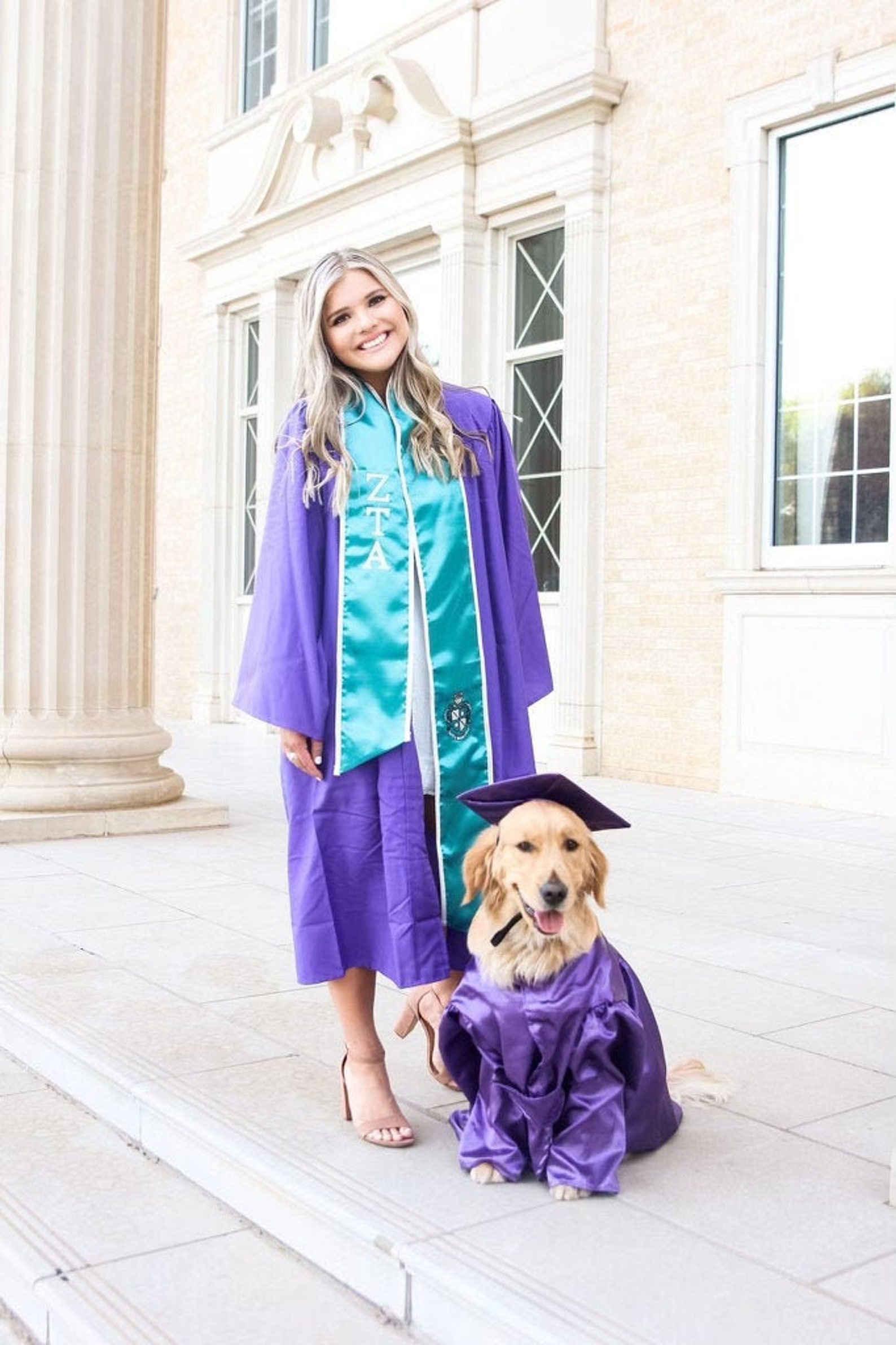 Graduation Dog Gown Graduation Gift Dog costume Dog gown Etsy