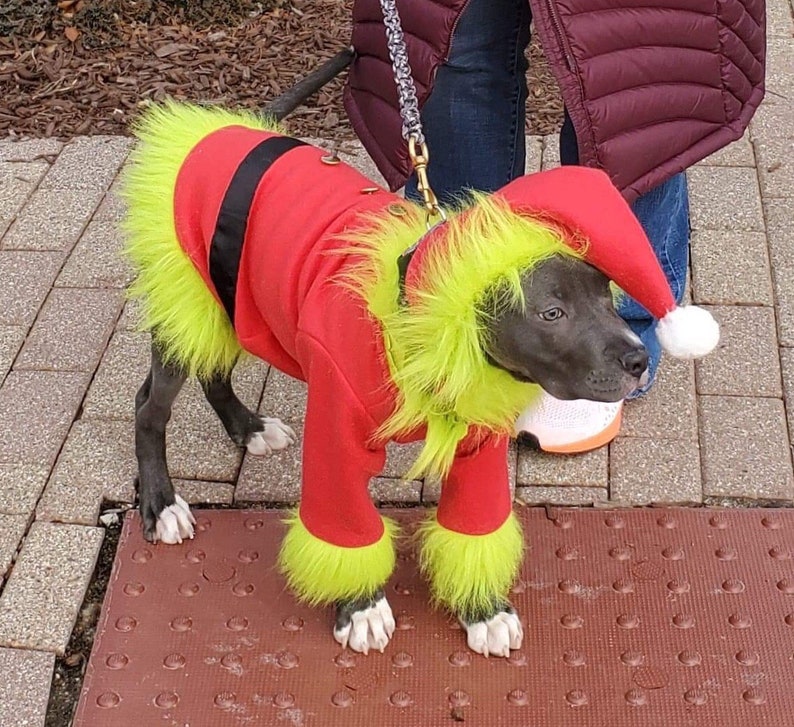 Santa Claus Dog Outfit Christmas Dog Costume Santa Dog Etsy