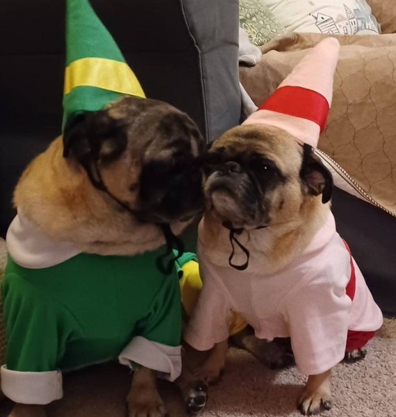 Bud the Elf Hat and collar for dogs and cats, Bud the Elf Hat, Jovi the Elf hat, Elf Hat and collar for dogs, Christmas hat for dogs