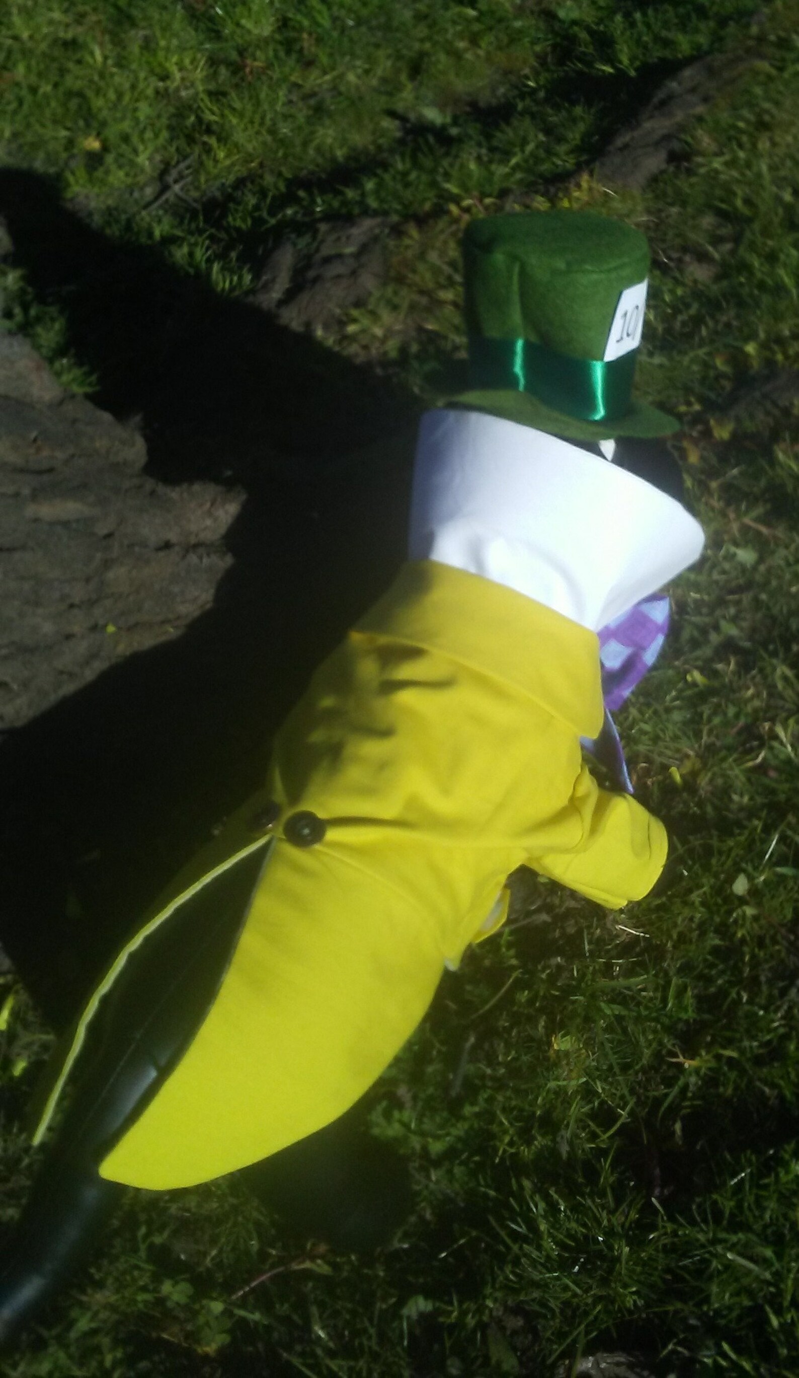 Mad Hatter Dog Costume Alice in Wonderland Halloween Dog Etsy