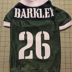Maglia da football per cani fatta in casa: colori e nomi della squadra personalizzati immagine 6