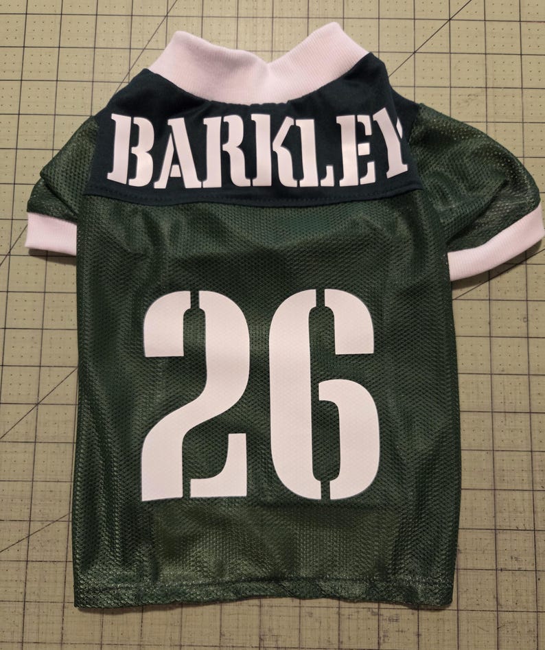 Maglia da football per cani fatta in casa: colori e nomi della squadra personalizzati immagine 6