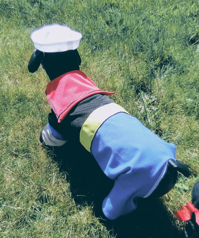 Popeye Dog Costume Sailor Dog Costume Halloween Dog Costume Etsy