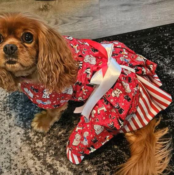 Christmas dog dress, Christmas dog outfit, Candy Cane dog dress, Holiday dog dress, Girl dog outfit, Fancy dog dress