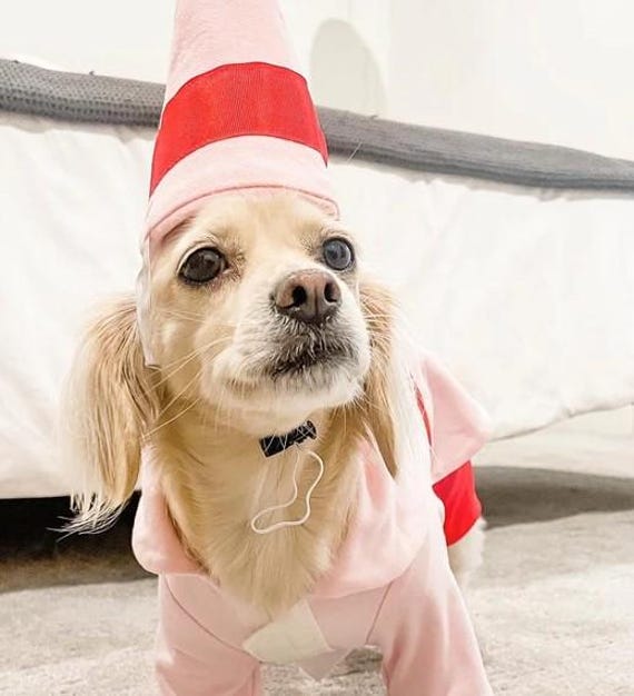 Elf dog costume, Pink elf dog costume, Christmas dog outfit, Santa helper dog outfit, Dog costume, Halloween dog costume