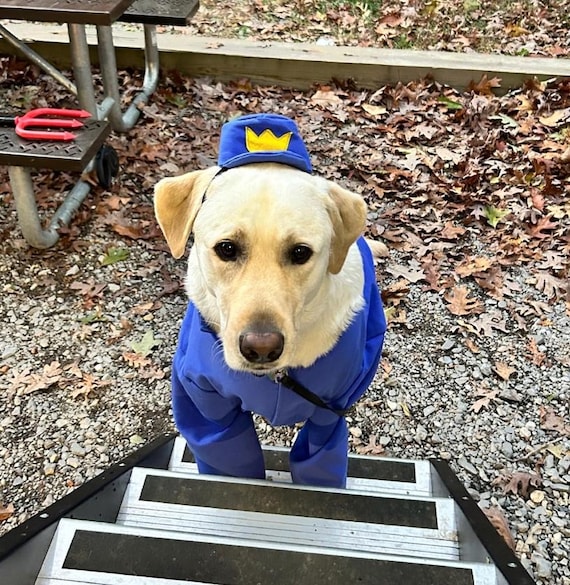 Dog Man, Dog Man dog costume, Police dog costume, Halloween dog costume, Costume for dogs