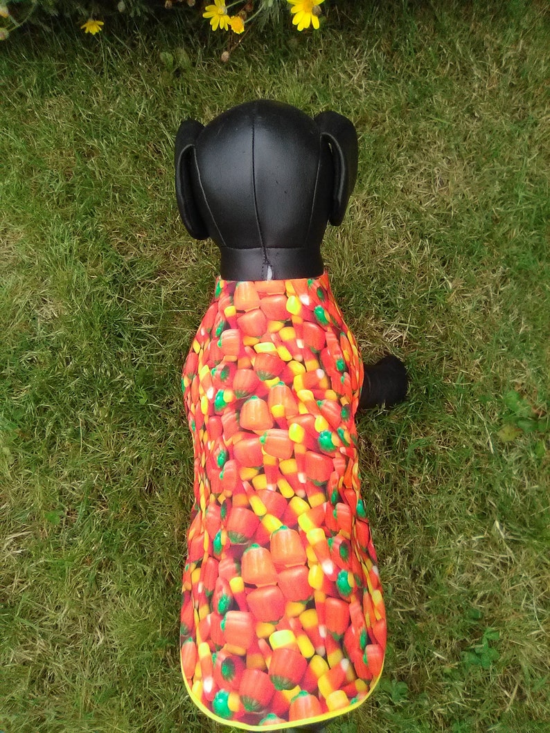 Candy Corn dog jacket Candy Corn dog outfit Halloween dog Etsy