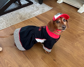 Vestito per cani Pit Crew: vestito da auto da corsa con cappello
