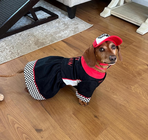 Pit Crew Dog Dress: Racing Car Outfit with Hat