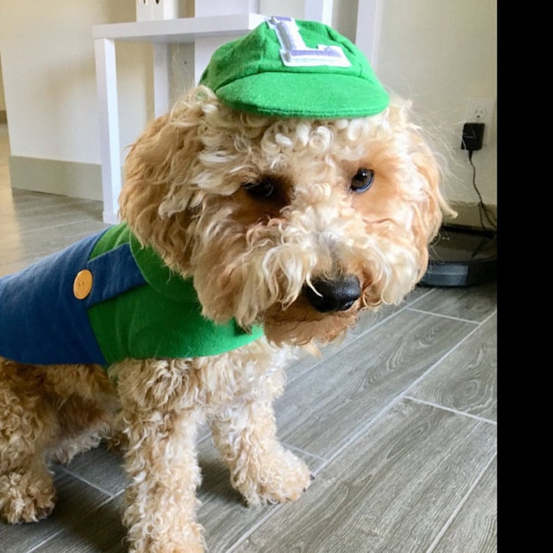Mario Luigi Dog Costume
 Luigi Dog Costume Mario Kart Costume Halloween Dog Costume Etsy