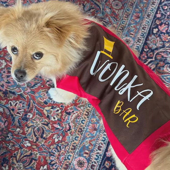 Wonka Bar dog costume, Chocolate Bar dog costume, Willie Wonka dog costume, Halloween dog costume, dog outfit, Costume for dogs