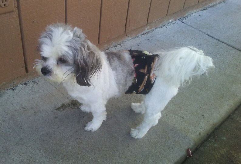 Belly Bands for dogs Racecar Belly Bands Flames Belly Bands