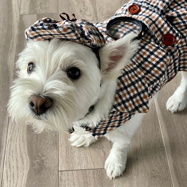 Sherlock Holmes Dog Costume Detective Dog Costume Dog Etsy New Zealand