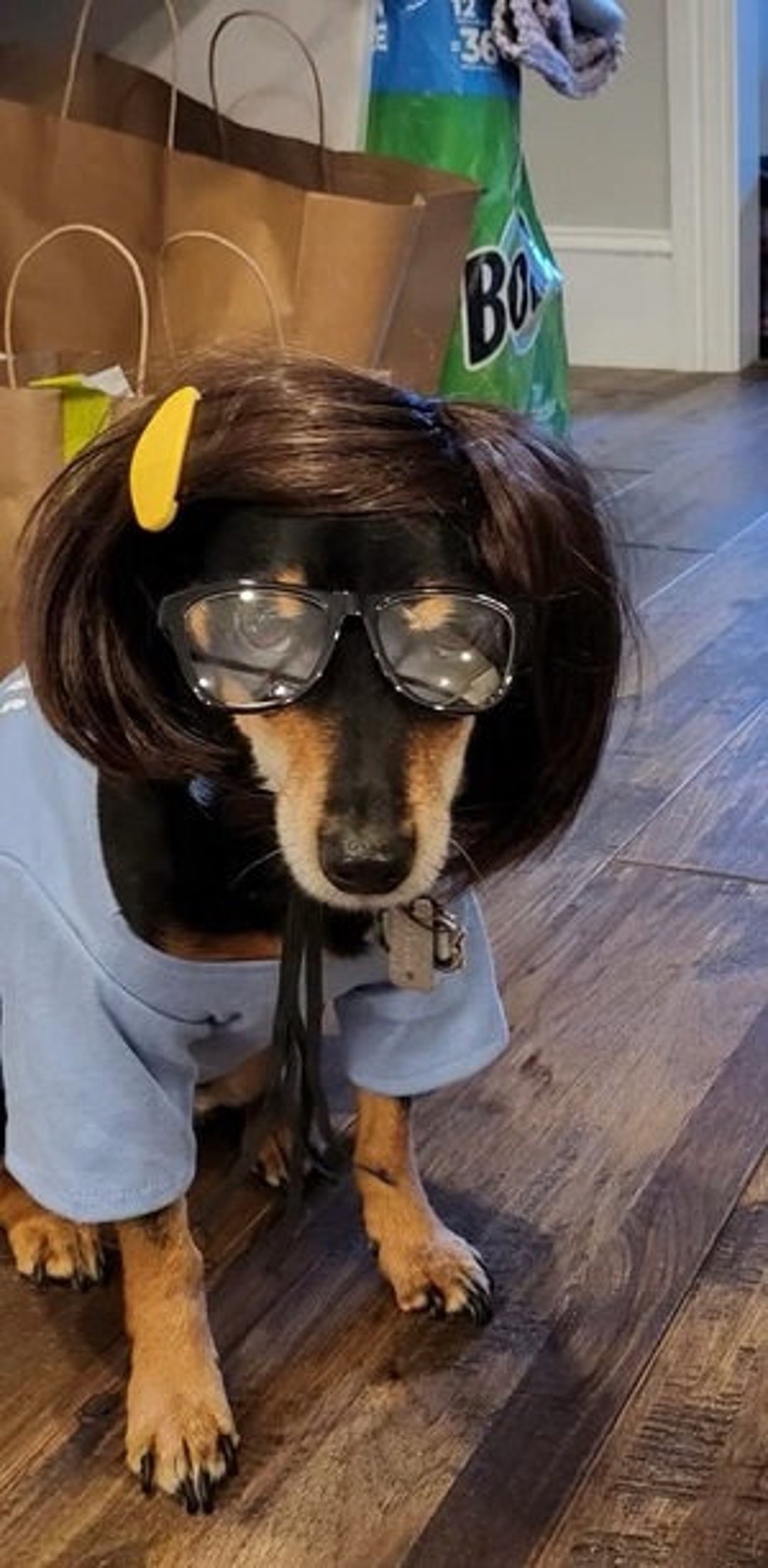 Bobs for top dogs clearance