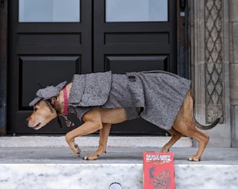 Sherlock Holmes Dog Costume, Detective dog costume, Dog costume, Halloween dog costume