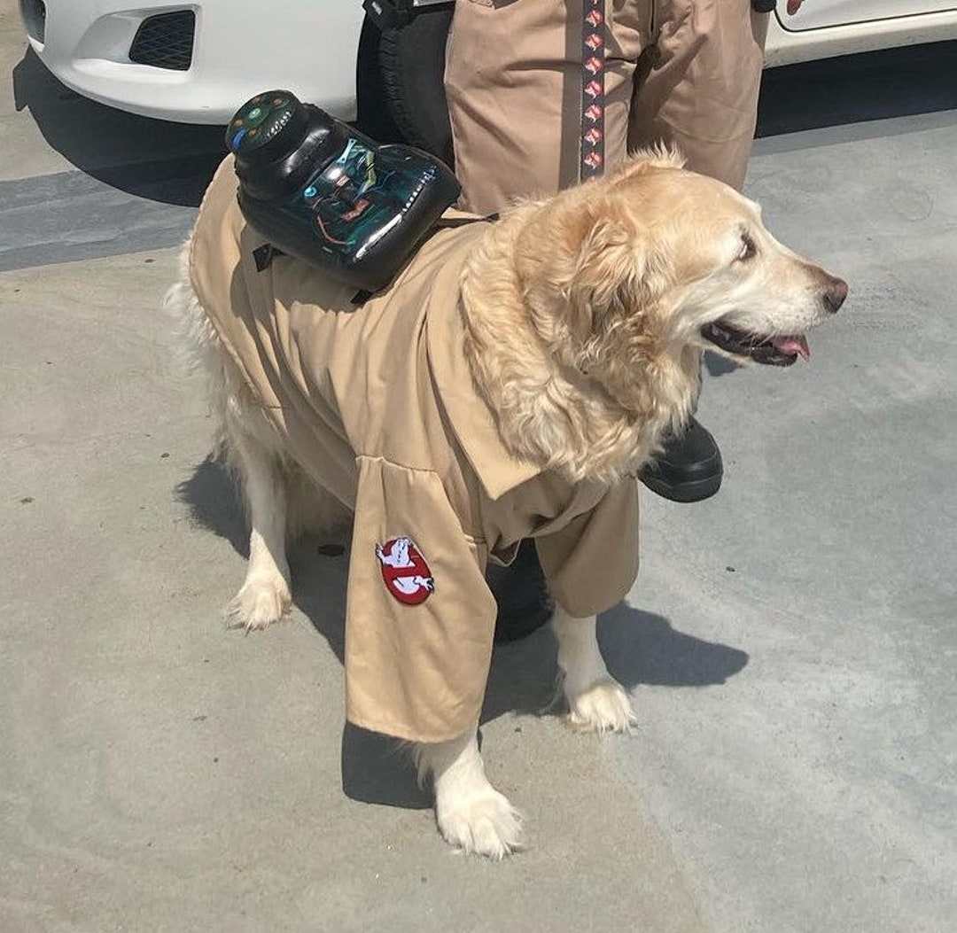 Ghostbuster Dog Costume, Ghostbuster Dog Jacket, Halloween Dog Costume