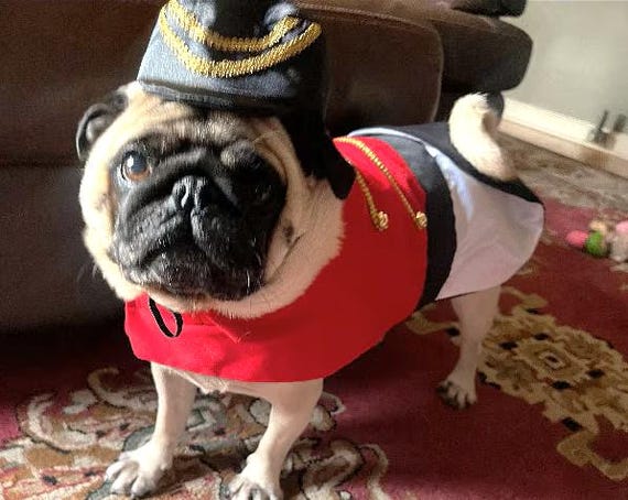 Nutcracker Dog Costume: Christmas Soldier Outfit with Hat