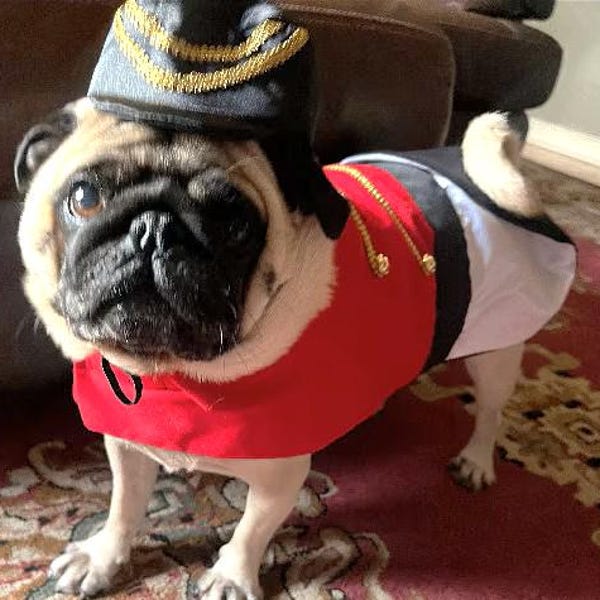 Costume da Schiaccianoci per cani: vestito da soldato di Natale con cappello