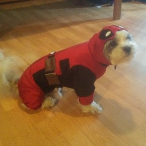May include: A small white dog wearing a red and black Deadpool costume. The dog is standing on a wooden floor.