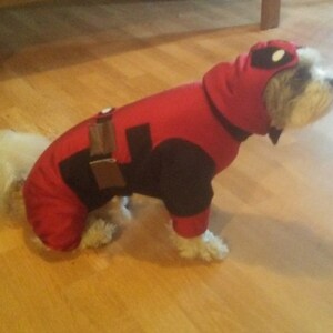 May include: A small white dog wearing a red and black Deadpool costume. The dog is standing on a wooden floor.
