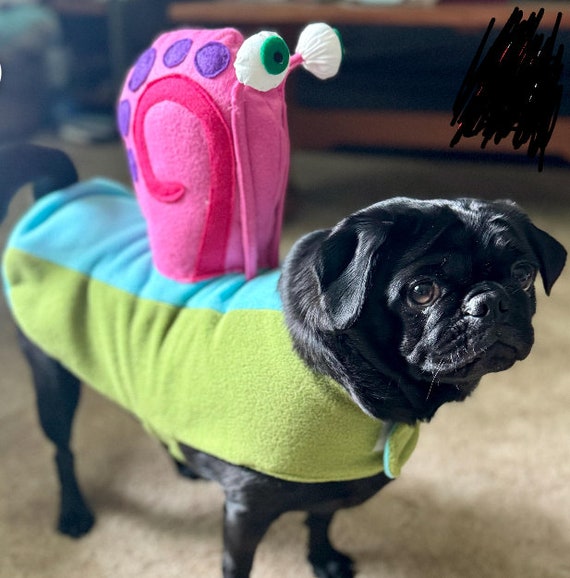 Gary Snail dog costume, Snail dog outfit, Halloween dog outfit, Dog Costume